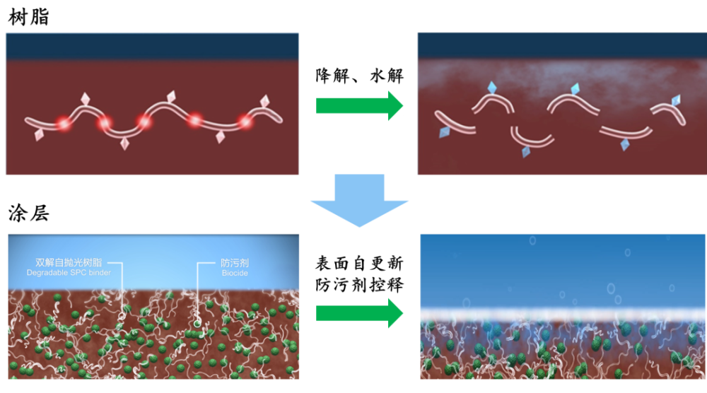 深势科技发布三维分子预训练模型Uni-Mol，有望加速药物设计的发展