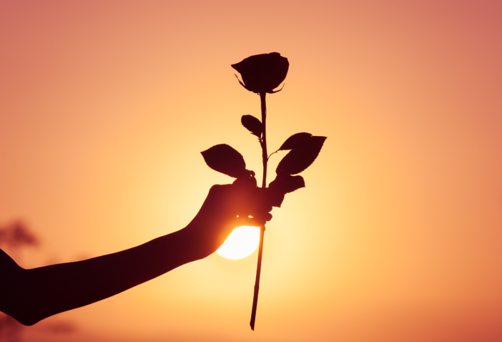 你读过的最有力量的一段文字是什么