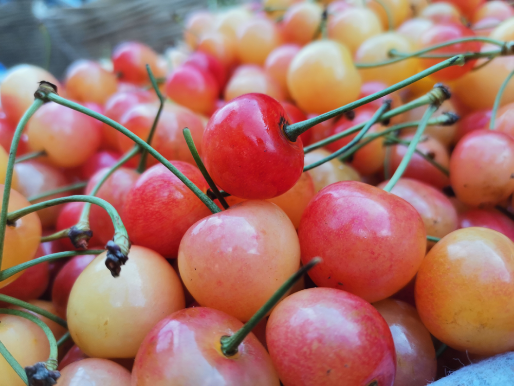 西昌人的"果篮子" 就更丰富了,品种繁多,娇艳欲滴的水果为西昌的夏日