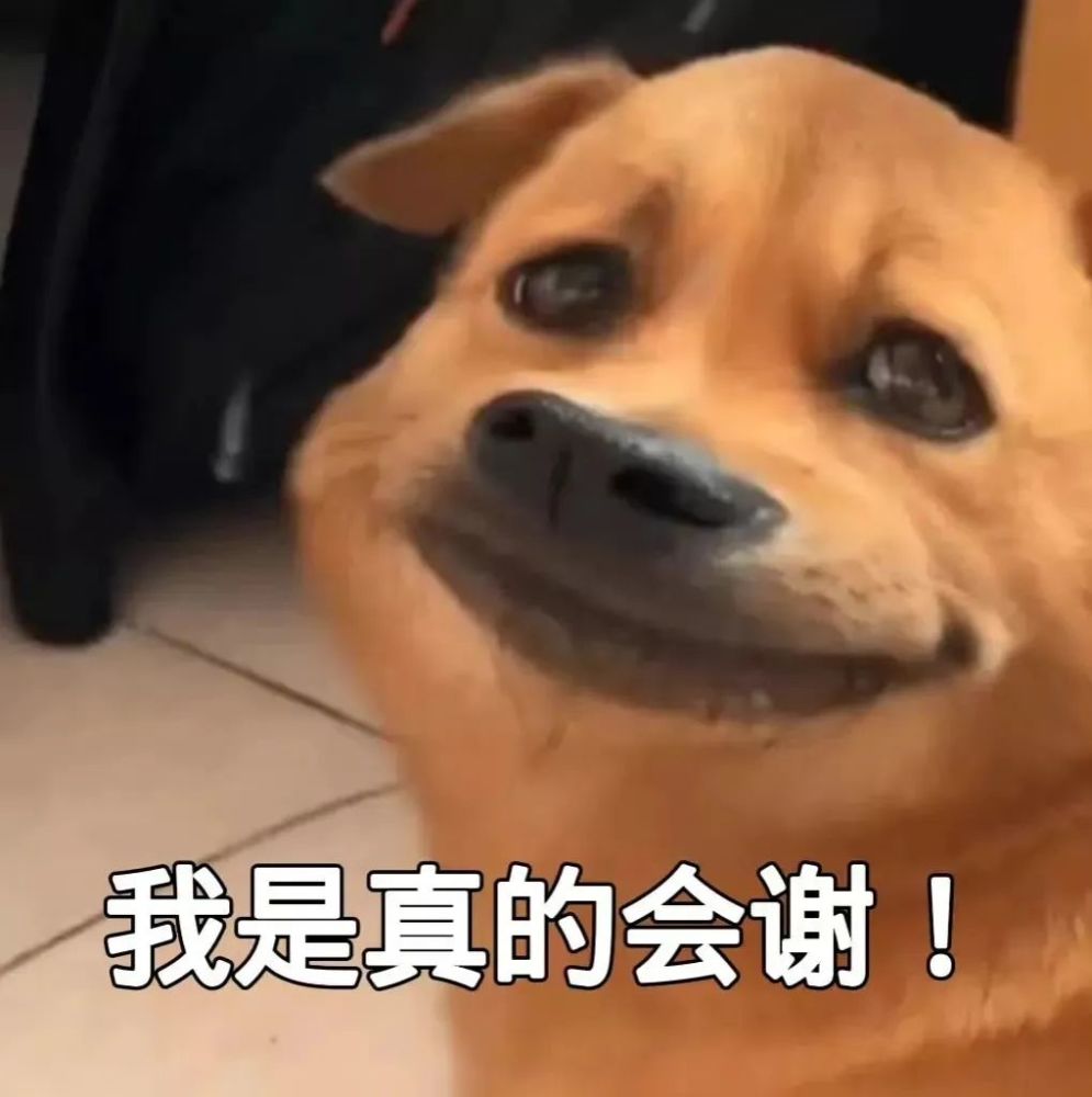 近期热门表情包i就是这样划水很简单的
