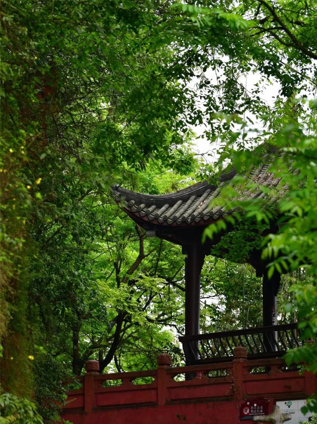 雨后山林图片