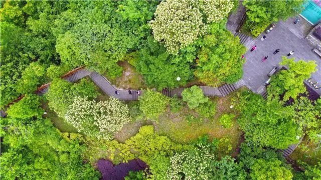 走進梁平石馬山公園,共享綠意空間