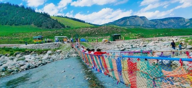 6月的祁连冰沟河景区,天祝的草原也彷佛更钟情于的神秘,高贵的蓝紫色