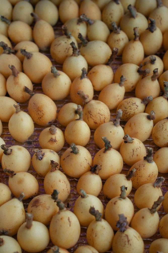 宁波这个枇杷甜古镇几乎无人的小众秘境,99%的人都没去过!