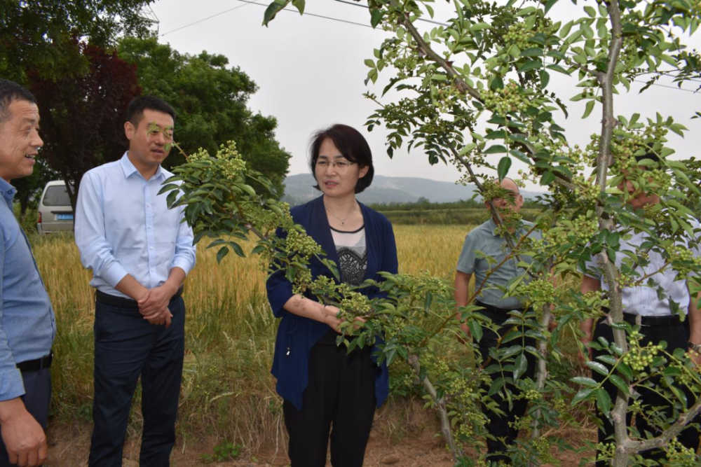 王益区干部任免图片