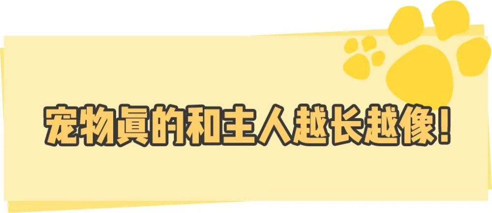 国宝级豫剧大师马金凤病逝，享年100岁，代表作《穆桂英挂帅》高途主讲老师一个月挣