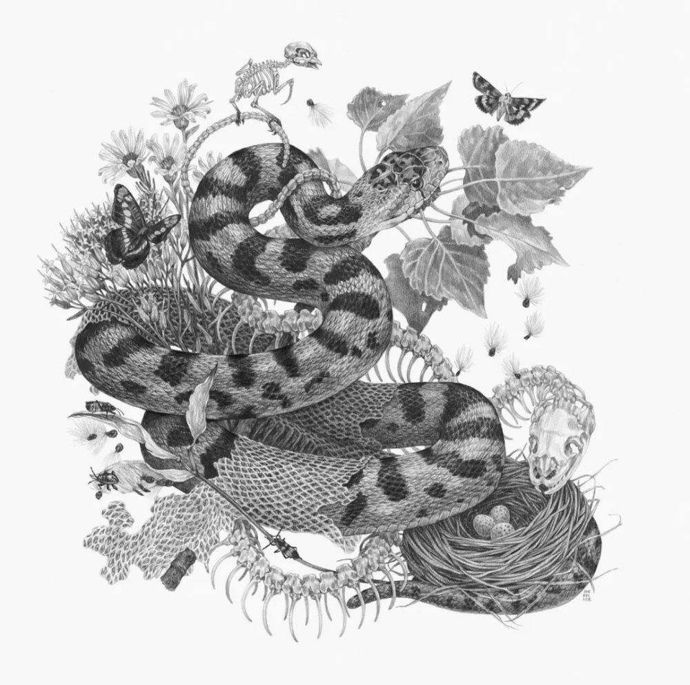 她把一座森林装进画里,超大尺寸的素描画作,让人震撼不已_腾讯新闻
