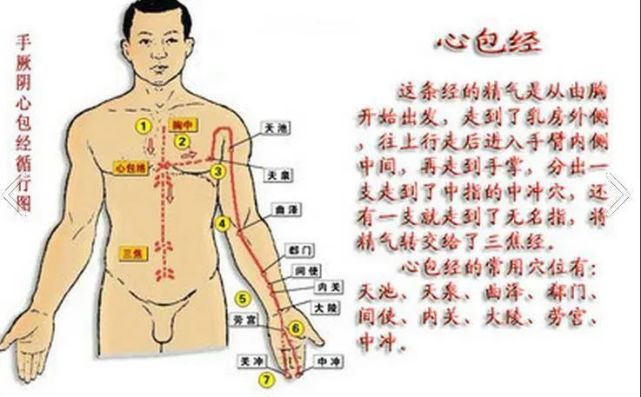 倪海廈人紀針灸六十七心包經經穴