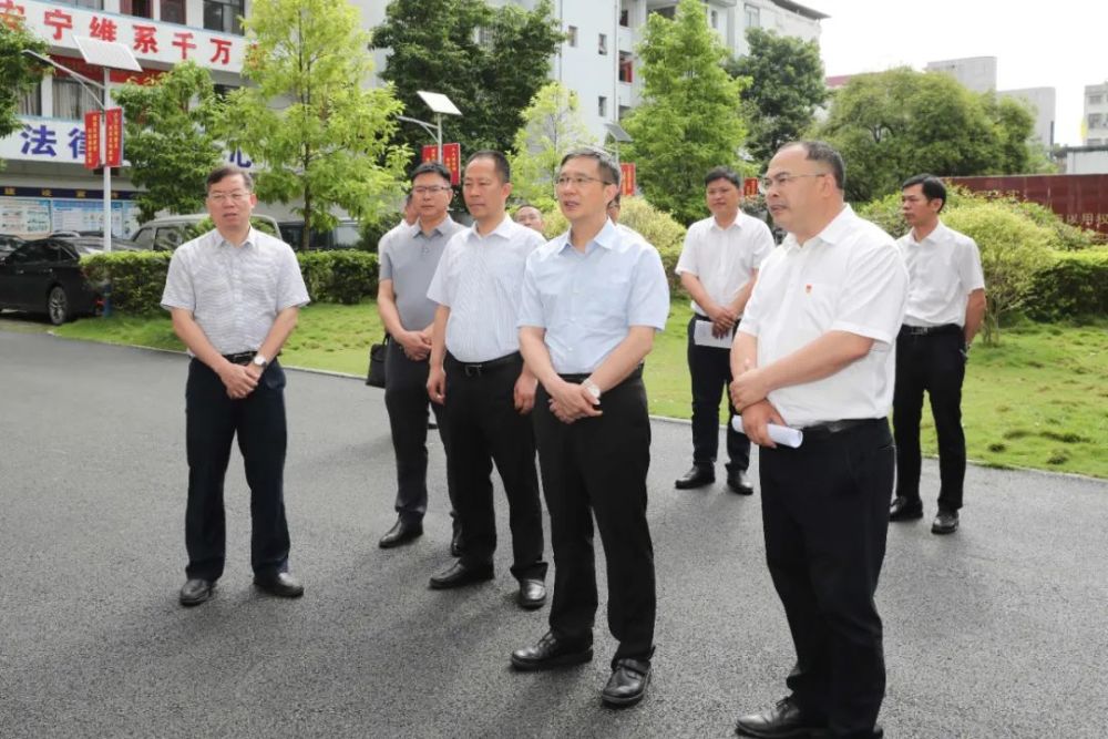 贺州市委书记李杰云到平桂区调研乡村振兴工作