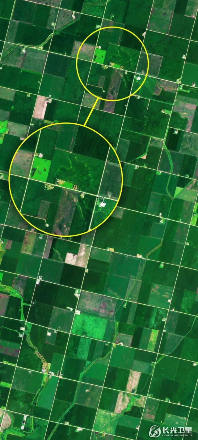 遥感星图1亿像素俯瞰世界农田