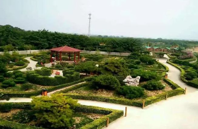 河南景点推荐,中原绿色庄园景区#免费语音导游#_腾讯新闻