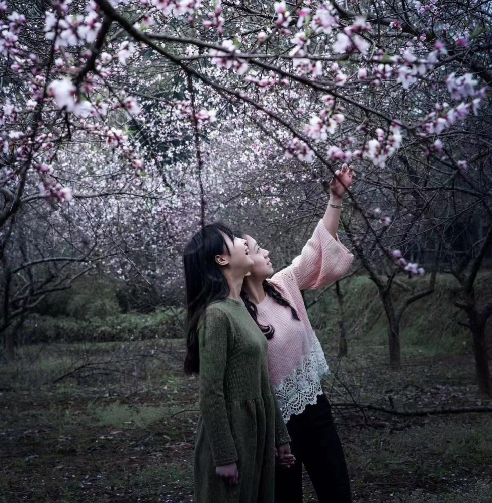 桃花江是美人窝不止出美女还告诉你这些