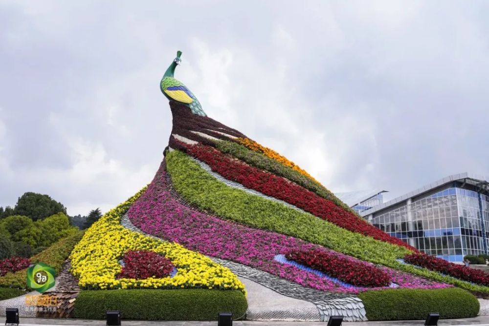 全体游客昆明世博园旅游区免费开放啦