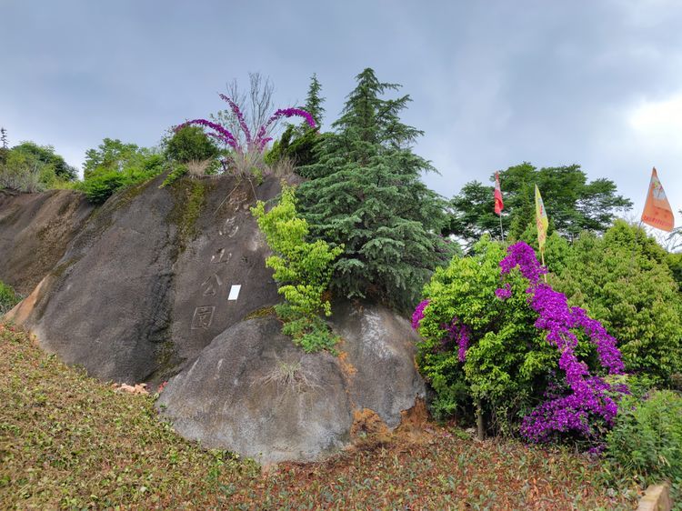 上面书写的大字仍然是"呼马山森林公园,周围已被绿色植物和红色的