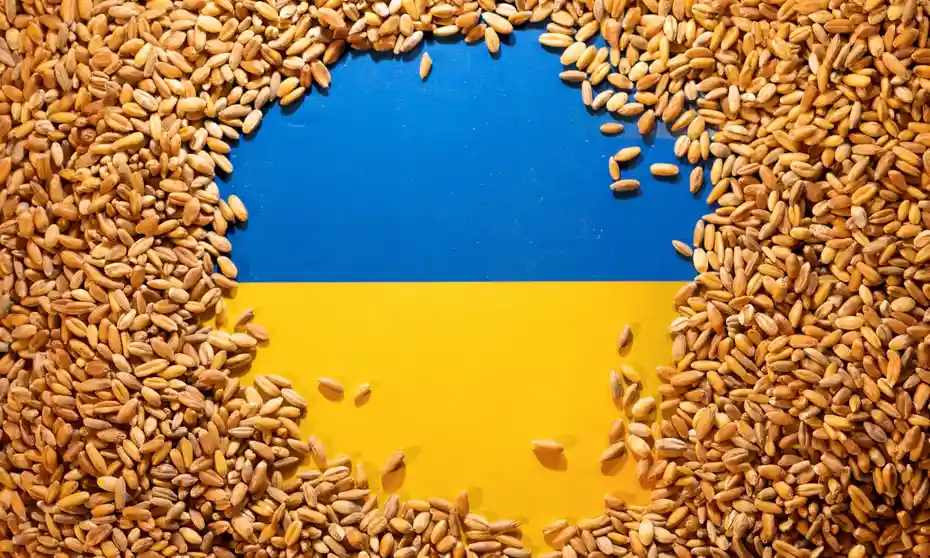 “非洲之角”每48秒一人饿死，乌克兰2000万吨粮食谷烂陈仓