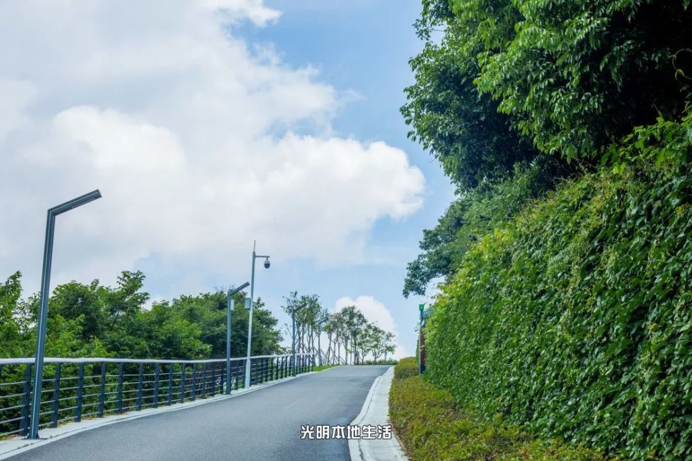 光明大雁山森林公園來了綠植天地湖光山色爬山好去處