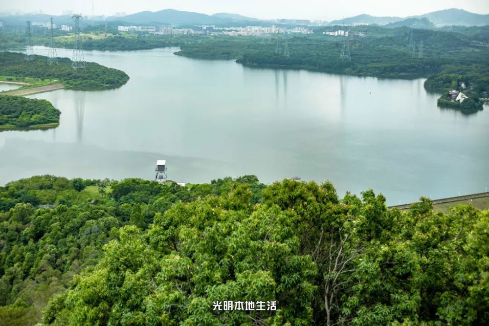 光明大雁山森林公園來了綠植天地湖光山色爬山好去處