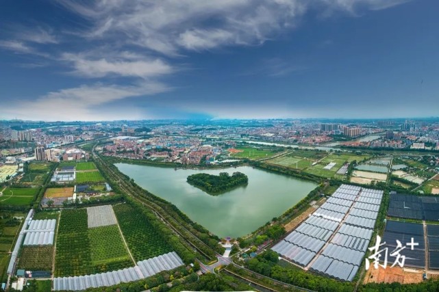 多图东坑农业园全新亮相景观更优美文化更丰富