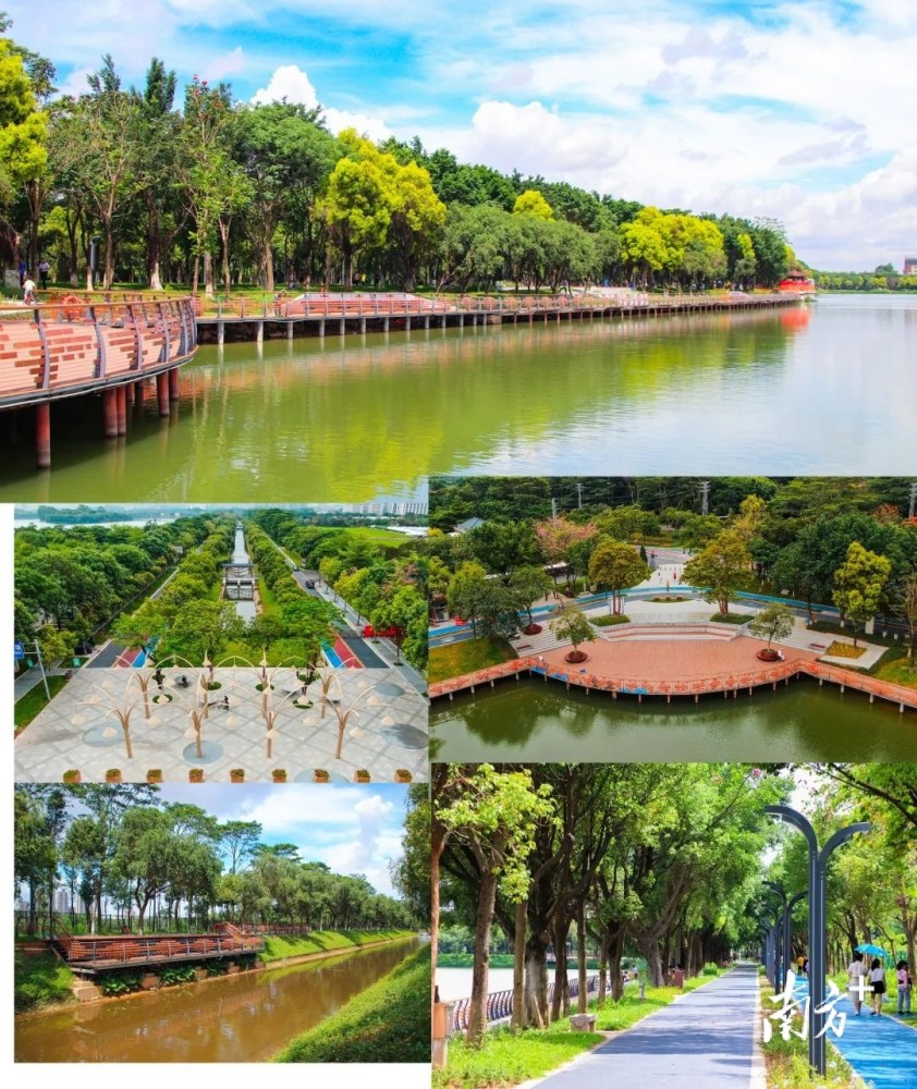 多图|东坑农业园全新亮相:景观更优美,文化更丰富_腾讯新闻