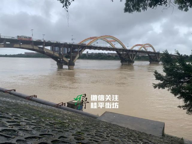 桂平北江跟鬱江的水位持續瘋漲連日暴雨之後桂平滿屏都是雨雨雨.