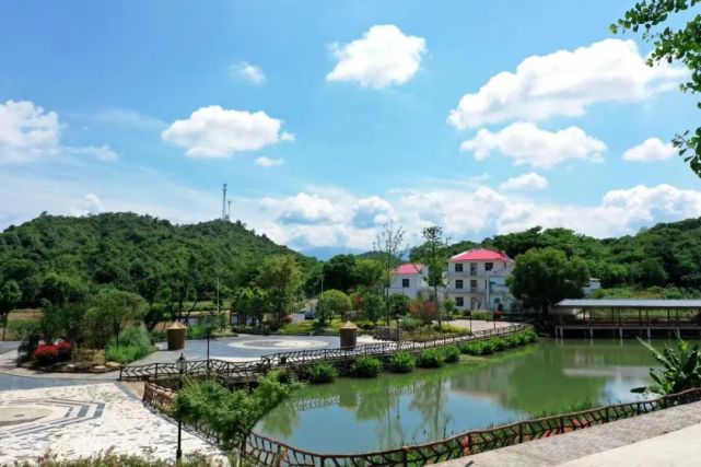 濂溪区开天村:以生态赋能乡村旅游,壮大乡村产业