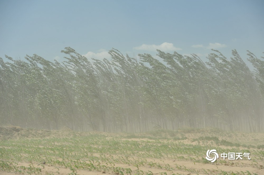北京北风呼啸阵风6至7级官厅水库风吹浪涌