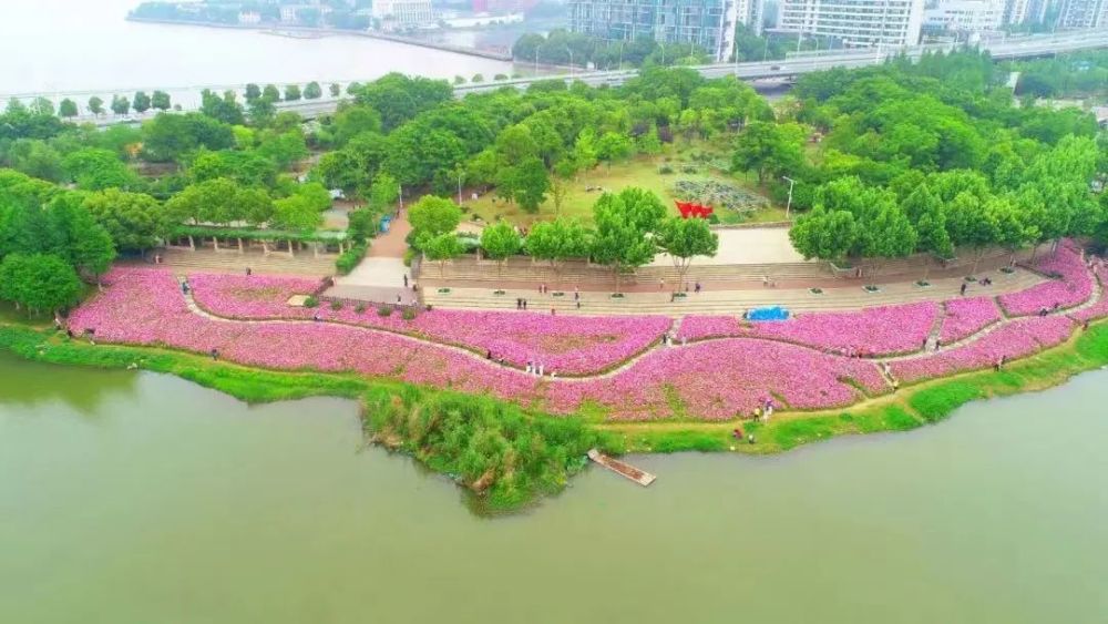 省婦幼保健院洪山院區效果圖生態方面,更有南湖幸福灣公園,巡司河風情