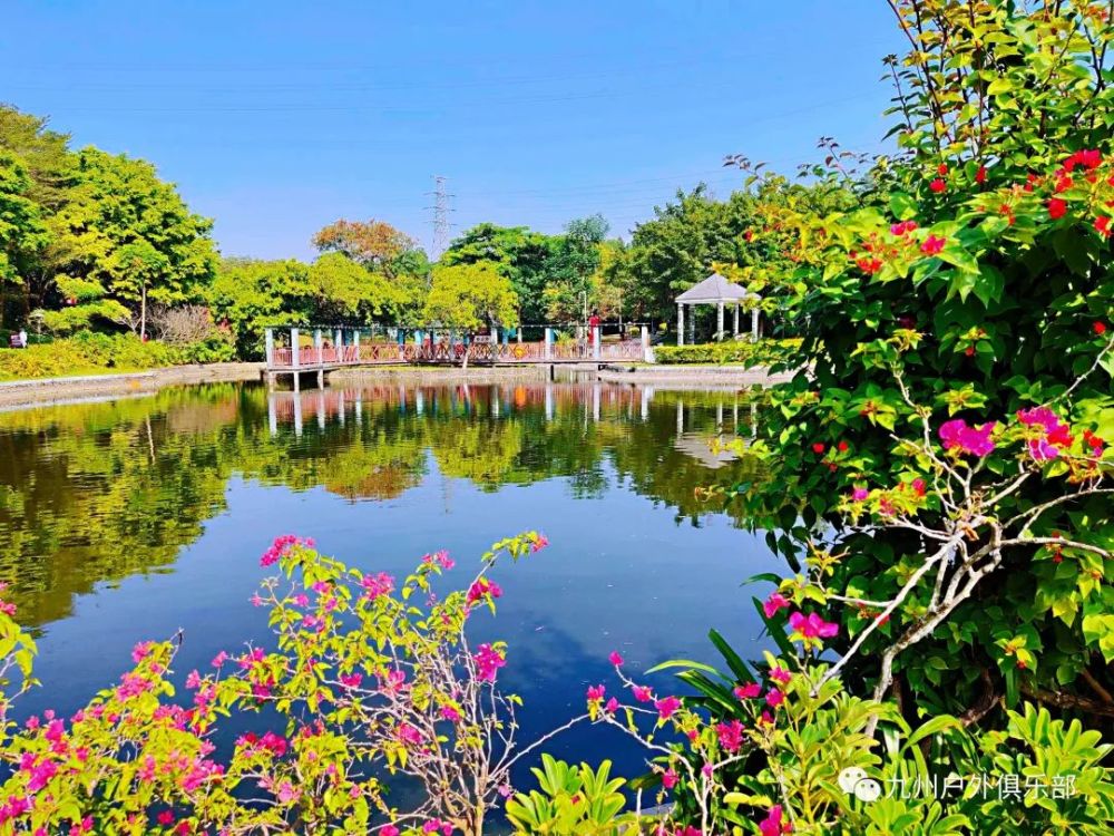 深圳一日旅遊最值得去的近百個免費景點來啦寶安區鹽田區