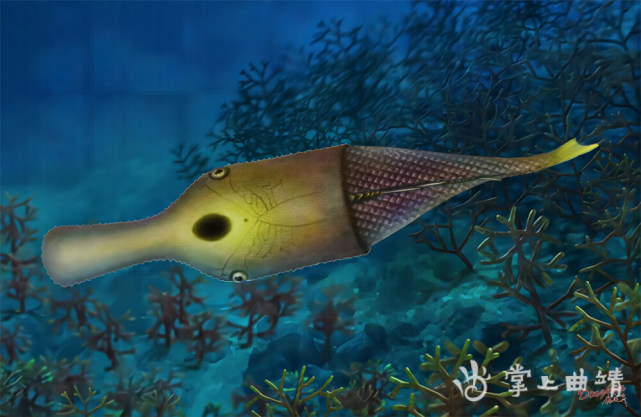 被误解的"鸭子爱上鱼" ——耿氏鸭吻鱼