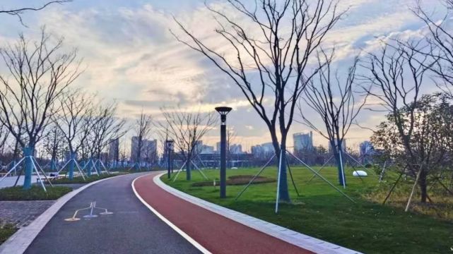 太倉市民公園佔地面積約337畝,公共空間分地上和地下兩部分,其中地下