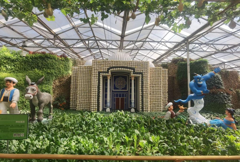 全景vr线上参观820万人次寿光菜博会种博会闭幕