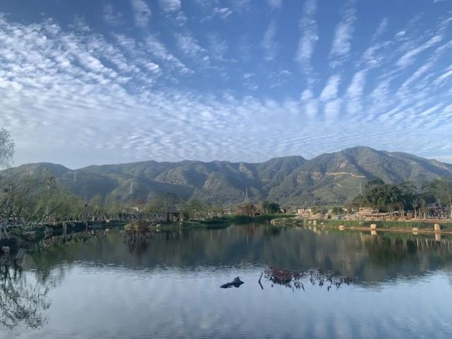 是大灣區的農文旅綜合體和清遠市鄉村振興樣板農文旅主題板塊水產養殖