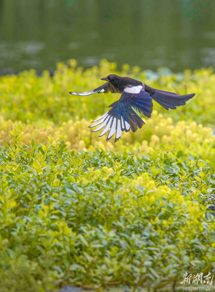 737_1000竖版 竖屏