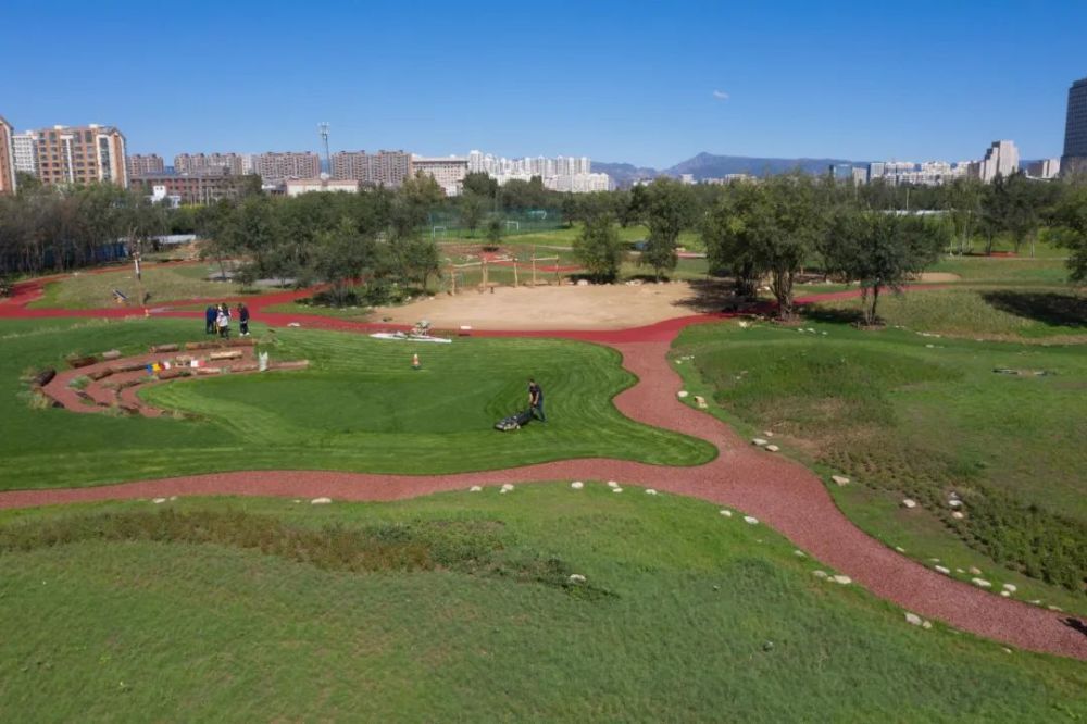 首府城中最大疏林草地小草公园开园啦