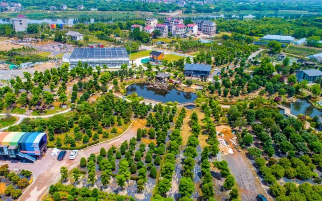 金华澧浦花木城十年发展之旅