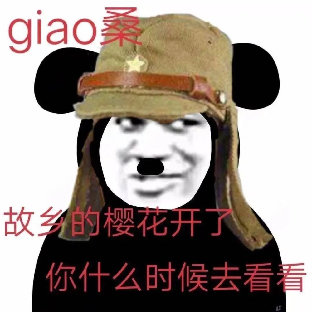 在存点实用表情包防身