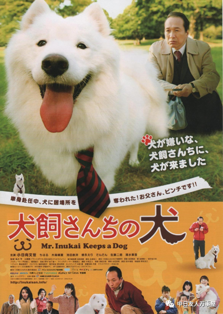 狗狗题材的日本影视作品盘点 腾讯新闻