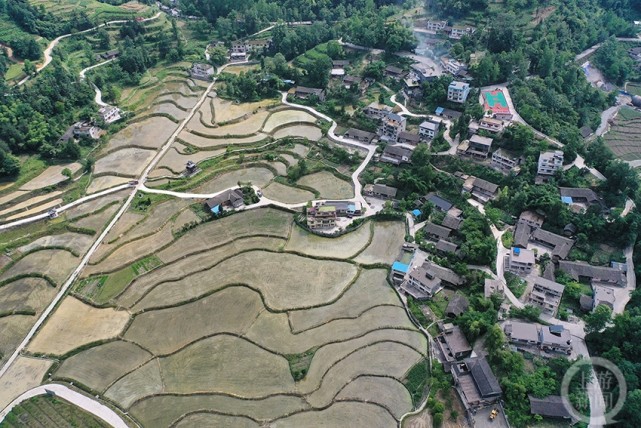 撂荒地变高标准农田 土家寨变网红打卡点_腾讯新闻