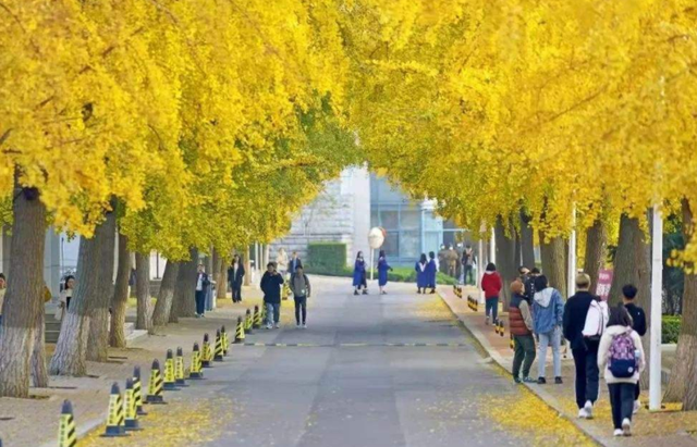 211大学考研难度排行_“国家认可不代表我们认可”,博士生面试被刷,学历高不香了?(2)