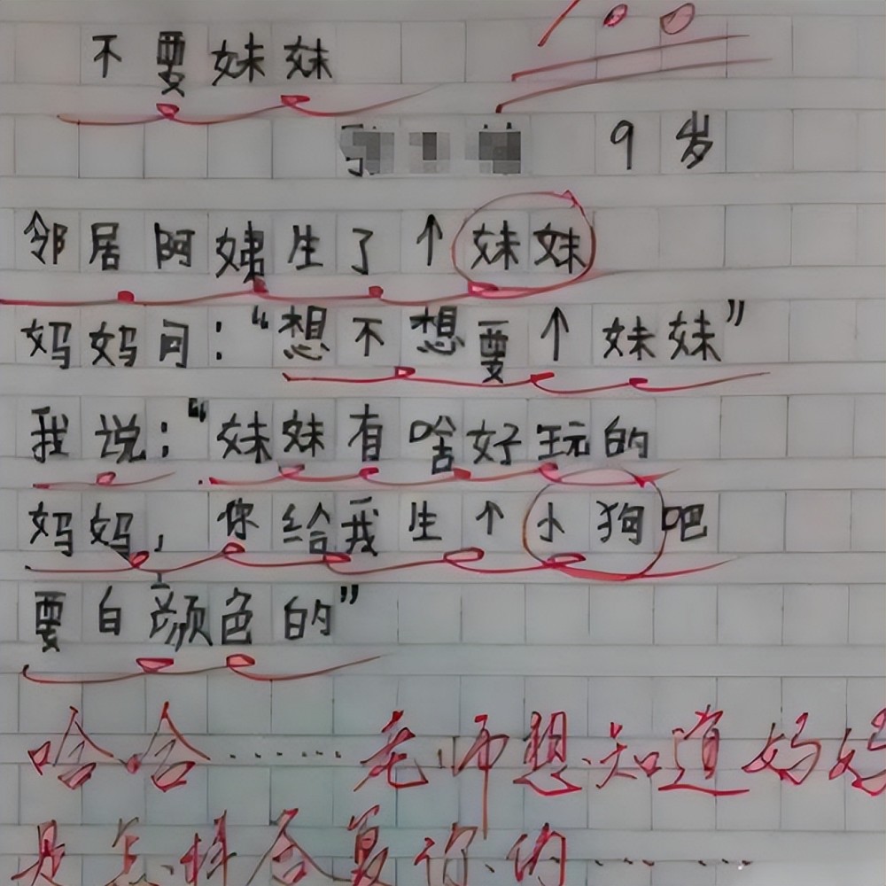 风起头秃小学生作文我的班主任火了网友笑到手抖