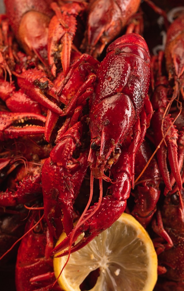 夏日人气王——小龙虾