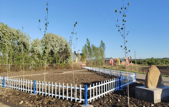 爱国卫生运动孙吴县卧牛河乡整容式村庄改造创优美人居环境