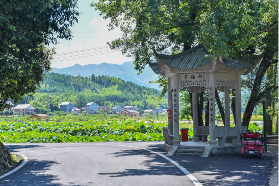 兰巨乡大巨村积极谋划休闲旅游项目开启农旅融合新篇章