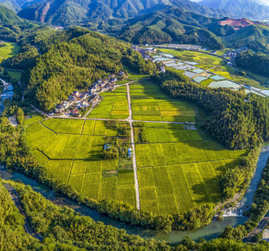 兰巨乡大巨村积极谋划休闲旅游项目开启农旅融合新篇章