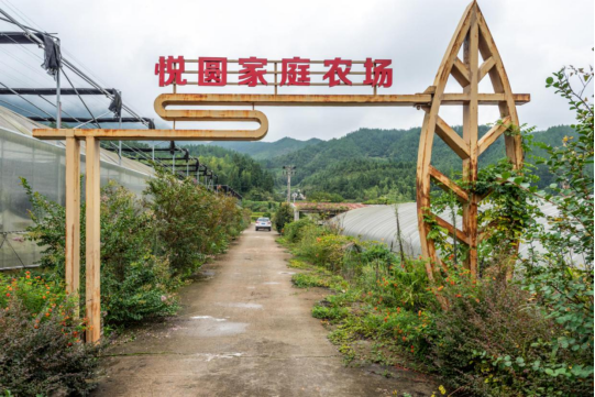 兰巨乡大巨村积极谋划休闲旅游项目开启农旅融合新篇章