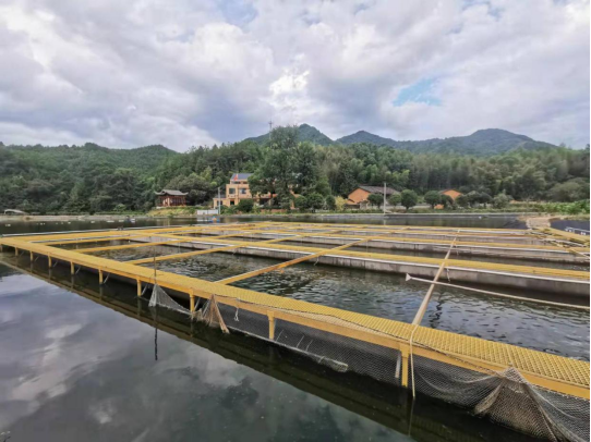 兰巨乡大巨村积极谋划休闲旅游项目开启农旅融合新篇章