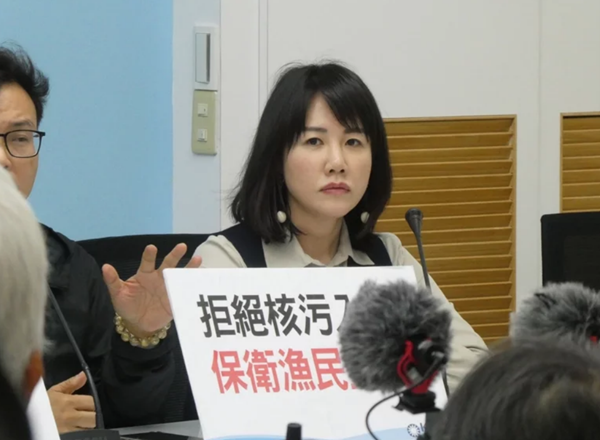 中国国民党党团选举下会期首席副书记长美女民代谢衣凤胜出