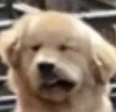 我要奖励你一个爱的么么哒