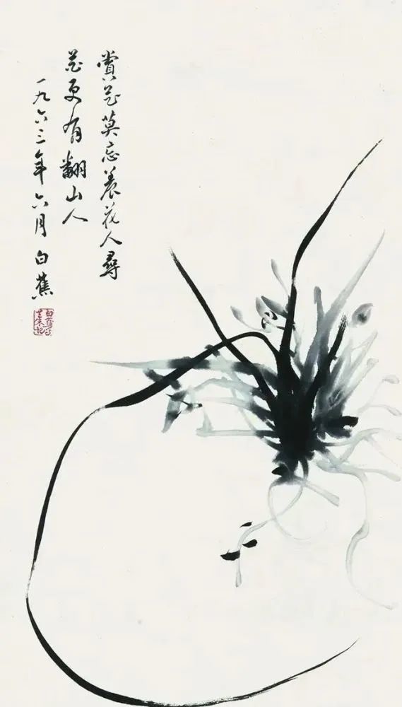 更多白蕉蘭花作品欣賞謝稚柳語:雲間白蕉寫蘭,不獨得筆墨之妙,為花傳