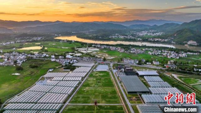 航拍江西于都富硒蔬菜基地 夕照大棚整齐划一